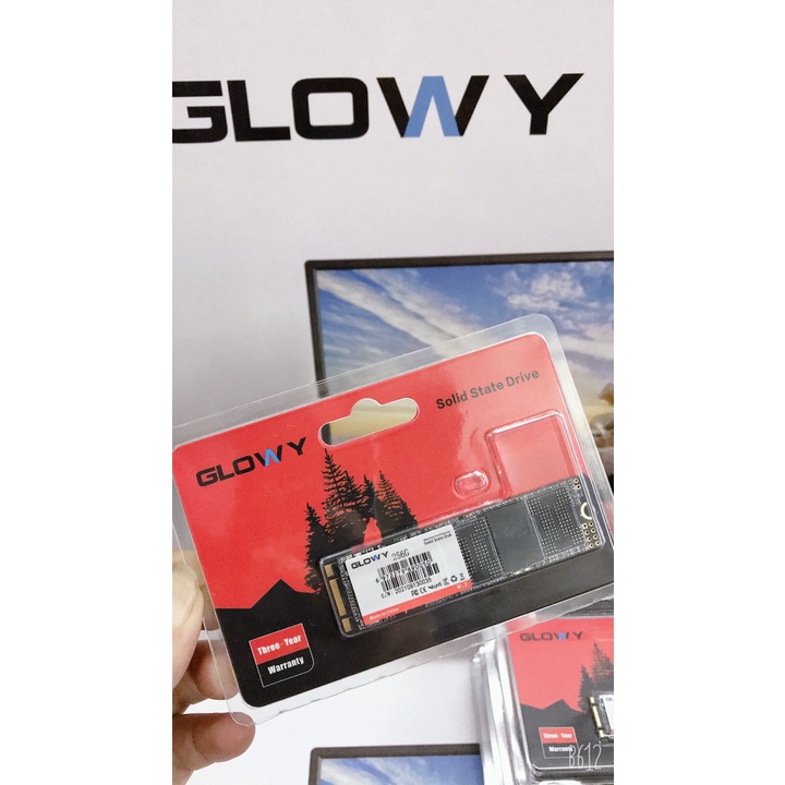 Ổ cứng SSD M2 SATA Gloway 256GB - CHÍNH HÃNG - Bảo hành 3 năm !!