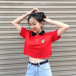 Áo croptop polo thêu xương rồng