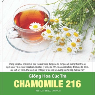 Hạt giống hoa cúc trà 216