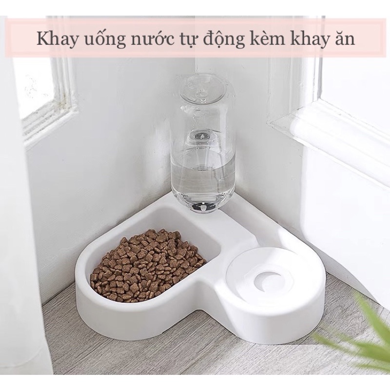 Bát ăn tự động - Chén ăn kèm bình cấp nước cho thú cưng