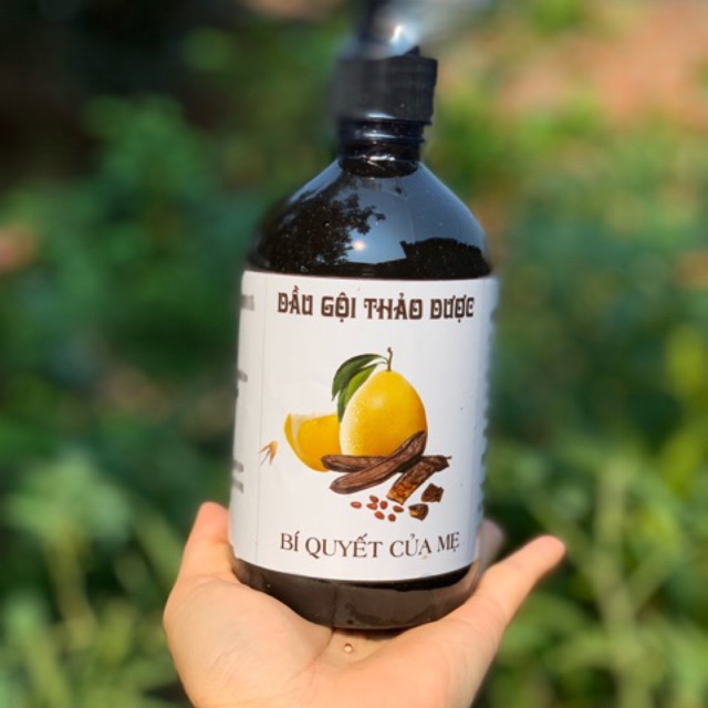 Dầu gội thảo dược nhà làm
