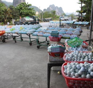 Combo 10 bóng golf Nike mới 90 %