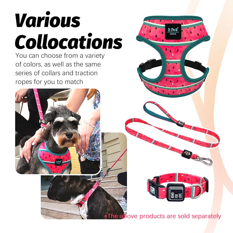 HamshMoc Dây Dắt Thú Cưng Đi Dạo Chất Liệu Nilon Mềm Kèm Móc Tiện Dụng Cho Cún Cưng Cỡ Nhỏ / Vừa / Lớn