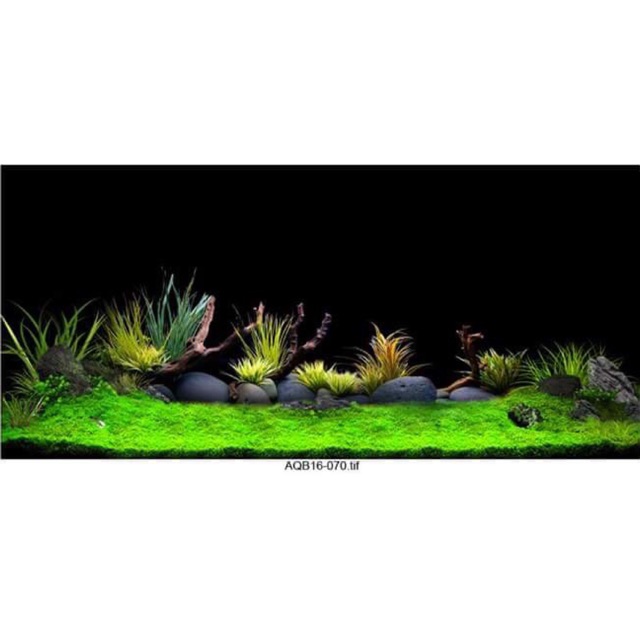 TRANH 3D CHO BỂ CÁ CẢNH KT 120x50
