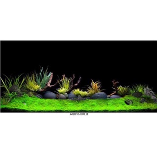 TRANH 3D CHO BỂ CÁ CẢNH KT 120x50