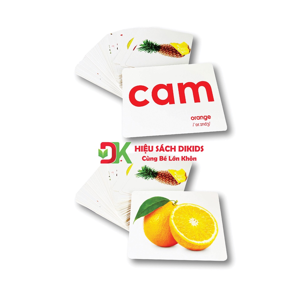 Flashcard thẻ thông minh Thế giới xung quanh phương pháp Glenn Doman khổ A5