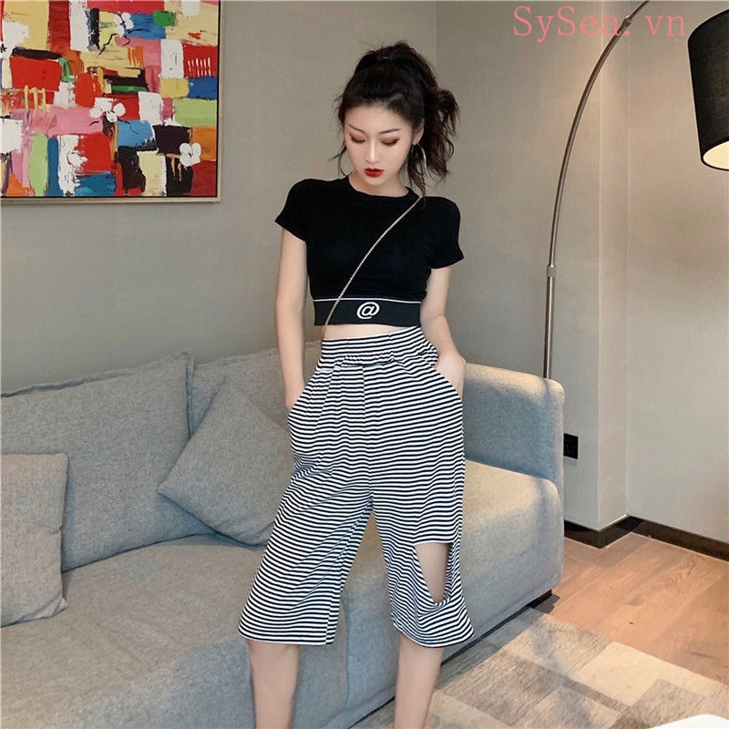 Áo lửng dệt kim ngắn tay thời trang cho nữ