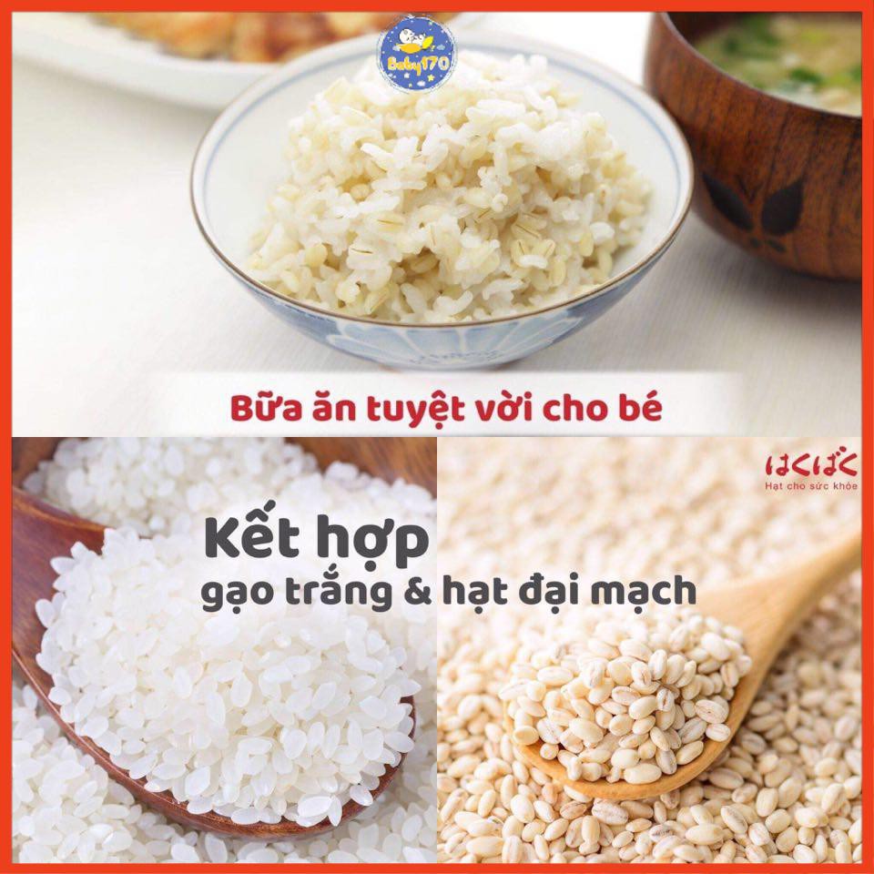 Gạo mochimugi - Hạt đại mạch Hakubaku - túi 50g date 8/2022