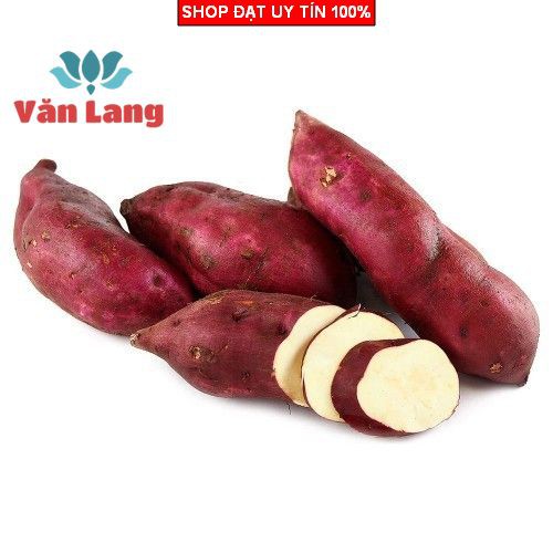 1kg Khoai lang vỏ đỏ lòng vàng siêu ngon, ngọt, bở tơi