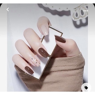 Nailbox nâu xà cừ nhã nhặn