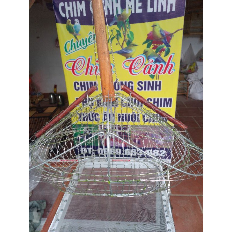 lụp bẫy mào chòe.