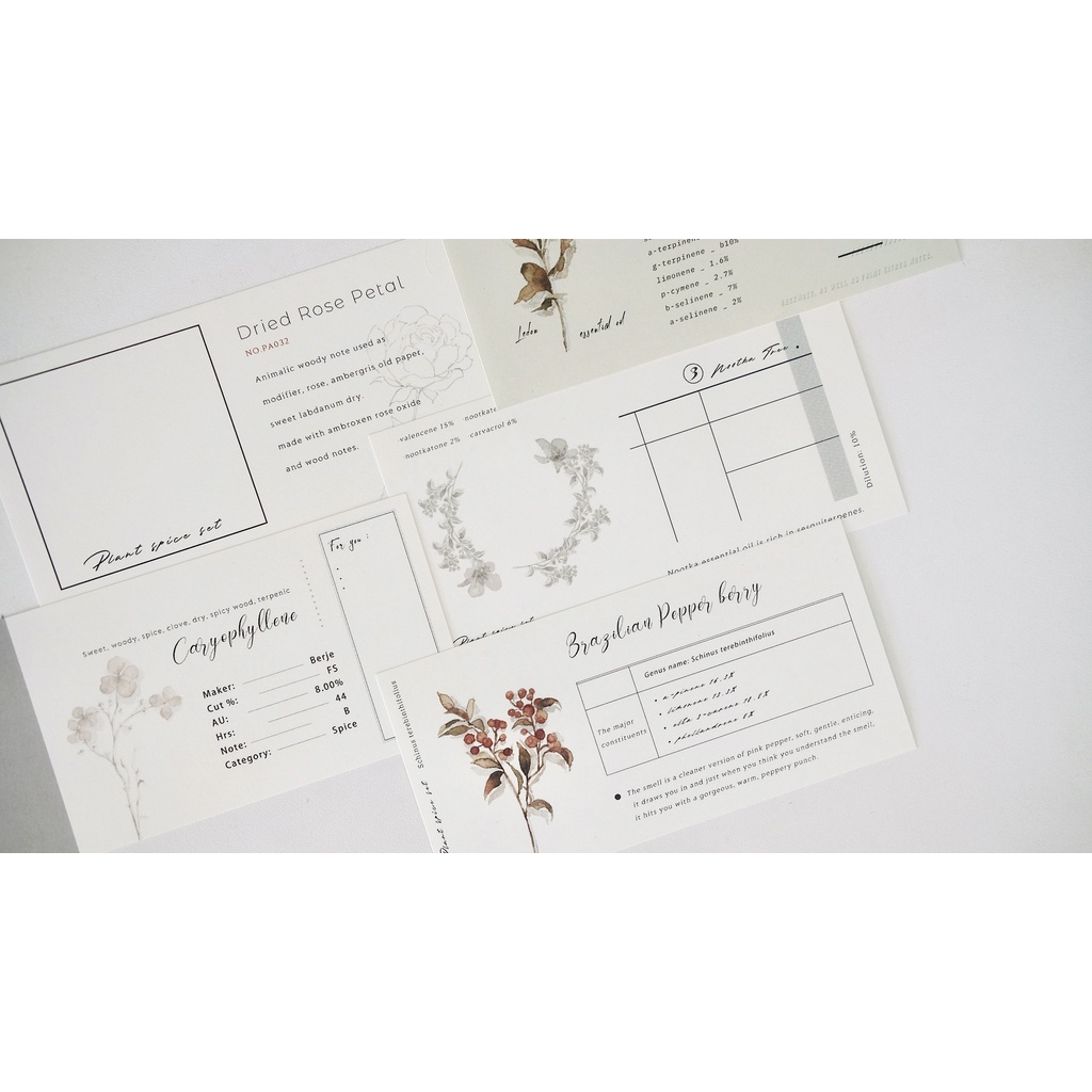 Meohime 𓃠 Set note hãng Freckles tea chủ đề hoa cỏ