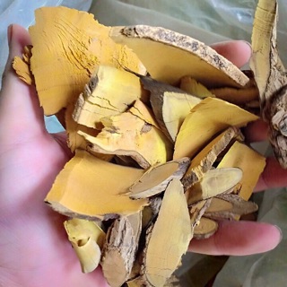 1kg Cây mật gấu