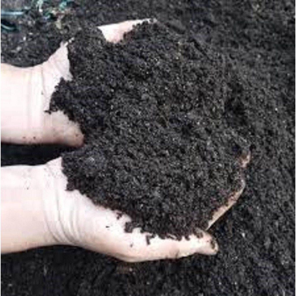 1KG phân gà vi sinh, phân gà Ủ HOAI MỤC ĐÃ xử lý NẤM KHUẨN, phân gà hữu cơ SẠCH-SIÊU PHÂN CHO HOA HỒNG VÀ TẤT CẢ CÁC LOẠ
