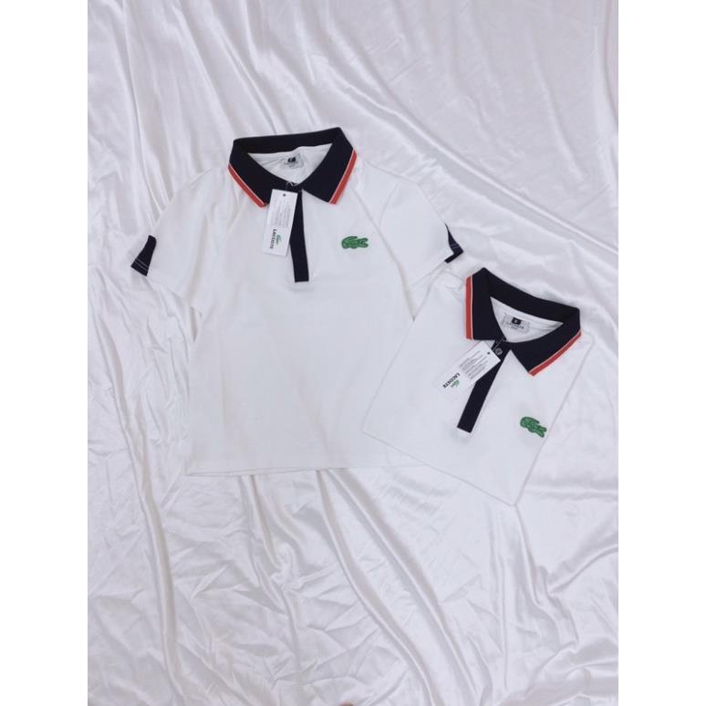 Áo polo cá sấu
