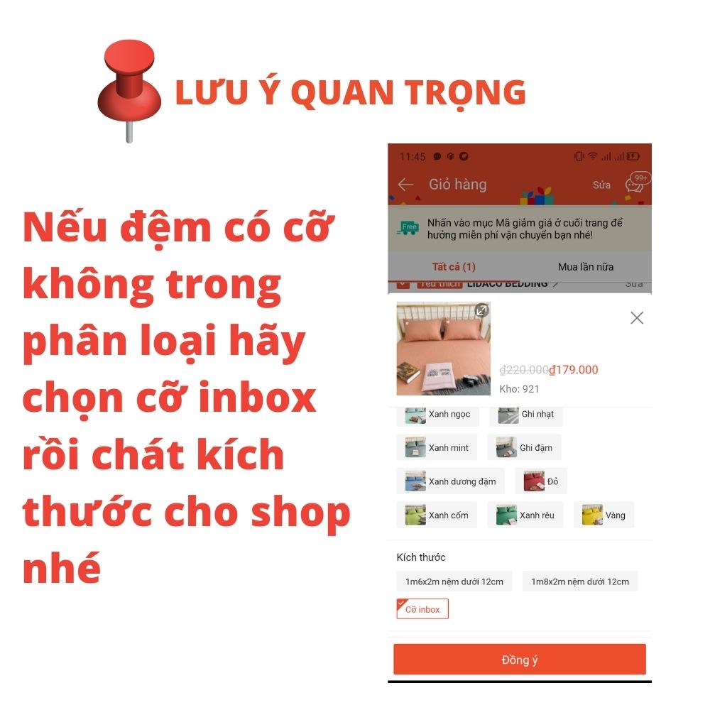 Bộ ga giường Cotton Tici 3 món bọc chun một màu trơn phong cách Hàn Quốc với đủ mọi size nệm