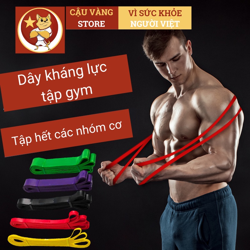 Dây kháng lực tập gym power band, powerband tập tay, cao su dài đàn hồi trợ lực