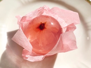 Hoa anh đào muối 50gr