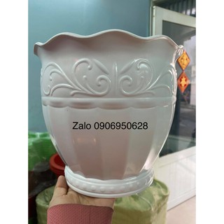 Chậu nhựa bom lùn có 2 size