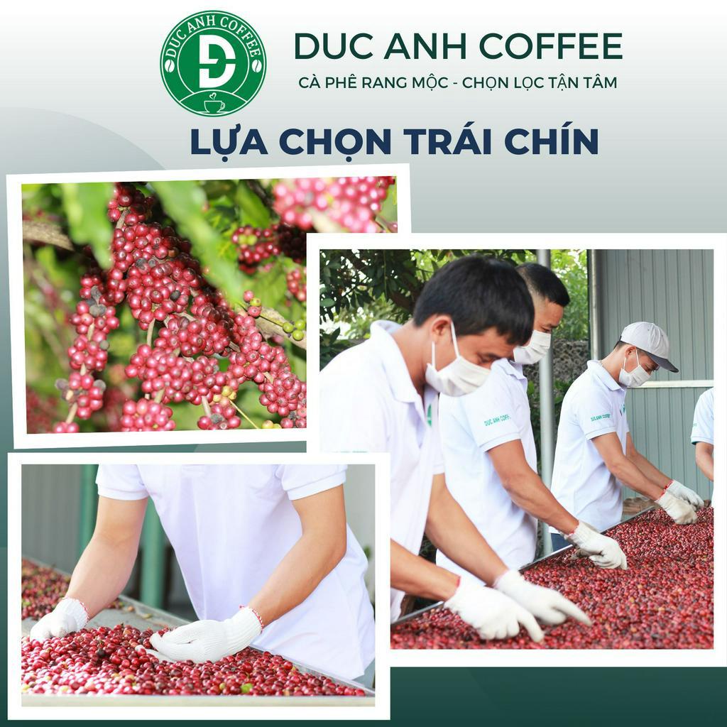 1kg cà phê rang mộc Robusta DUC ANH COFFEE nguyên chất xay pha phin, xay pha máy, nguyên hạt, túi zipper DUC ANH COFFEE
