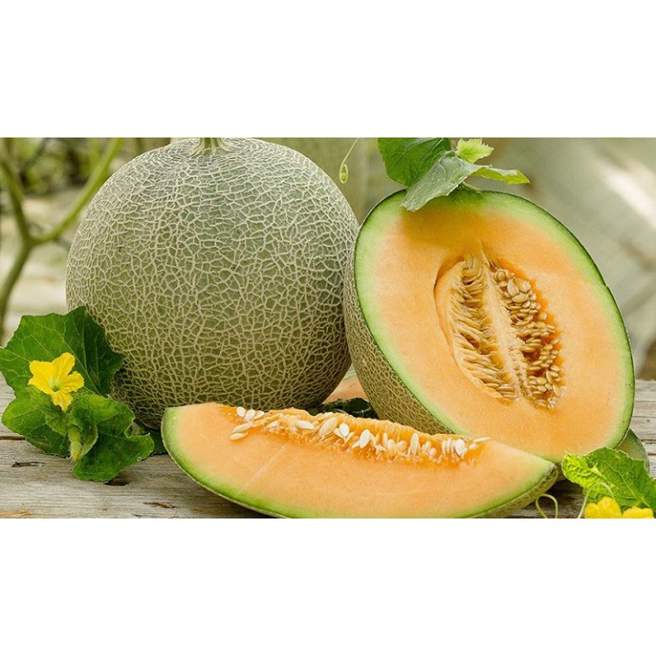 [HOT] ❄ Tinh Dầu Nguyên Chất Dưa Lưới - Melon THERAPY 10ml/50ml Thái Lan ❄