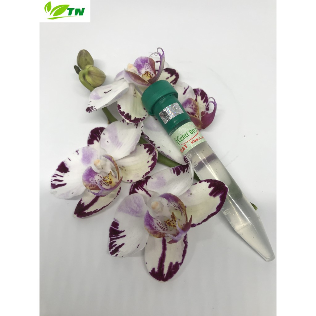 Kích Kie Duy Xanh ống 10ml - Thần dược cho lan