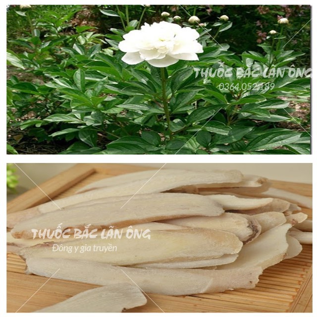 Bạch Thược 500g