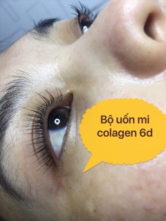 Bộ uốn mi 6d collagen