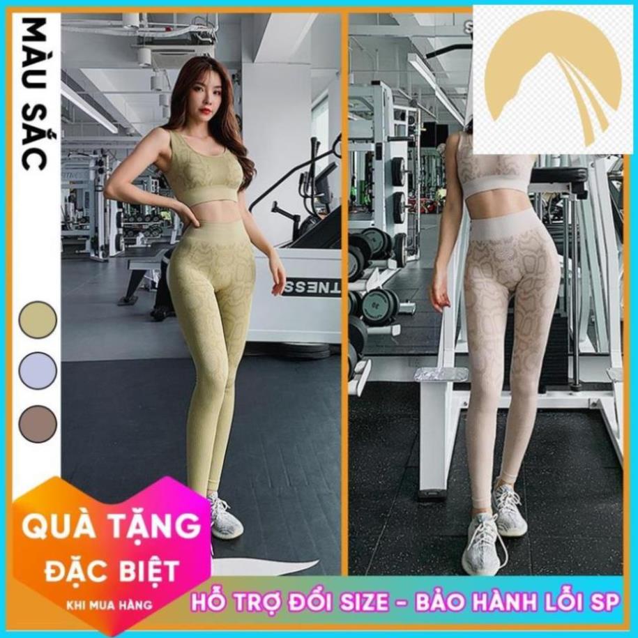 🐨🐖 SẴN Set Bộ Đồ Tập Gym Yoga Nữ SET12 Hoạ Tiết Da Rắn Chất Dệt Kim, Hàng Xuất Châu Âu - HcSport68 🐨🐖 * ,