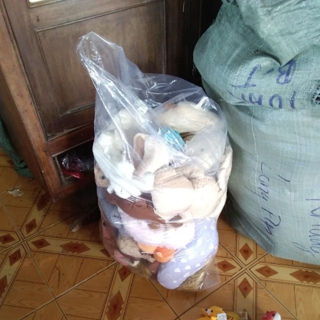 Gấu bông của hang trần