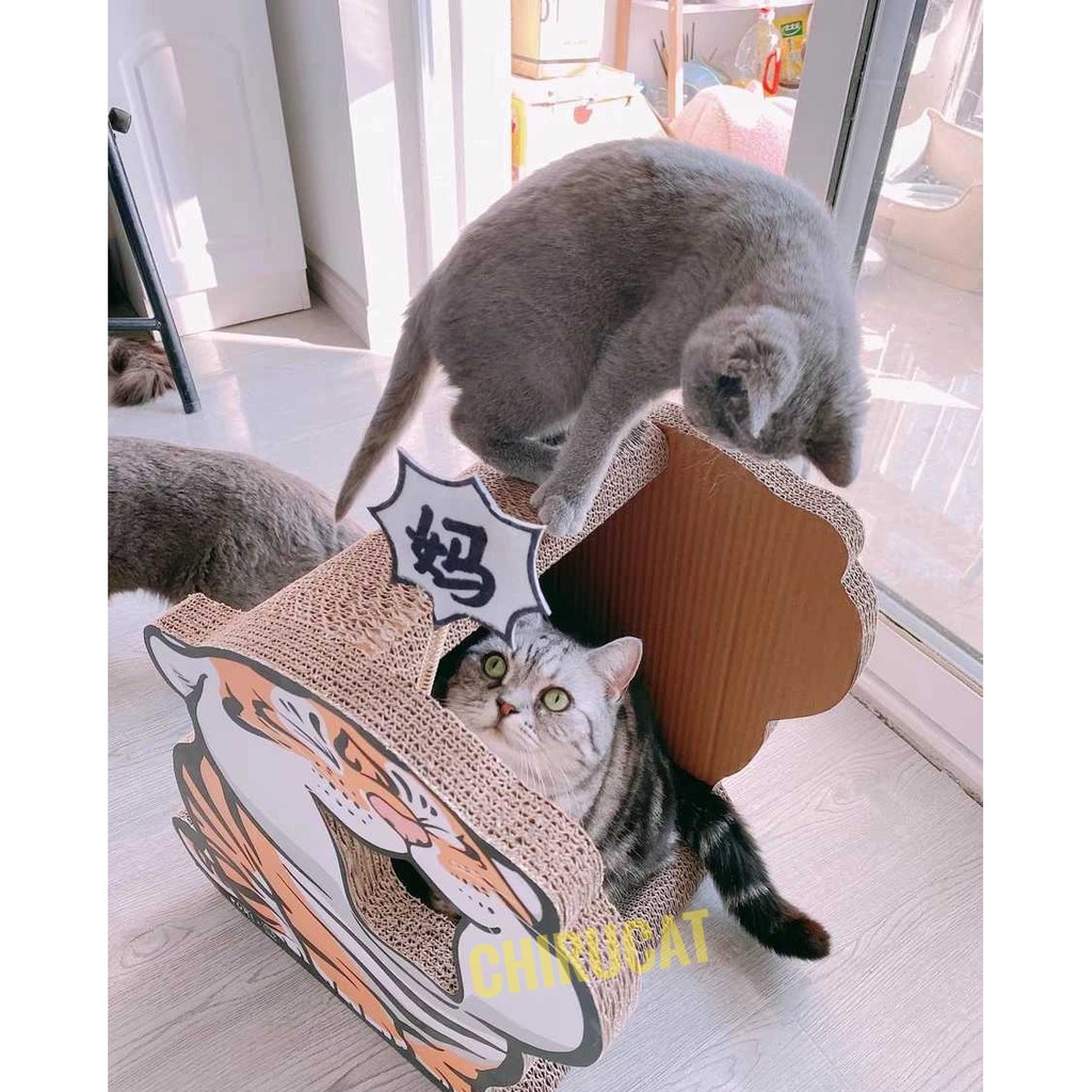 [Tặng Cỏ Catnip] Bàn Cào Móng &quot;Hổ Con Gào Mẹ&quot; Siêu To Khổng Lồ Cho Các Boss