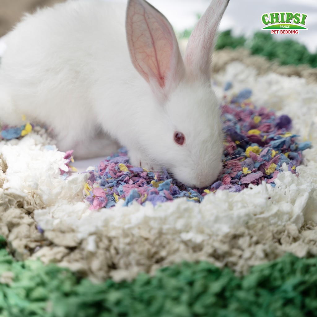 Lót chuồng cho thú nhỏ Chipsi (NK Đức) (Dành cho thỏ , chuột lang, hamster , bọ,...)