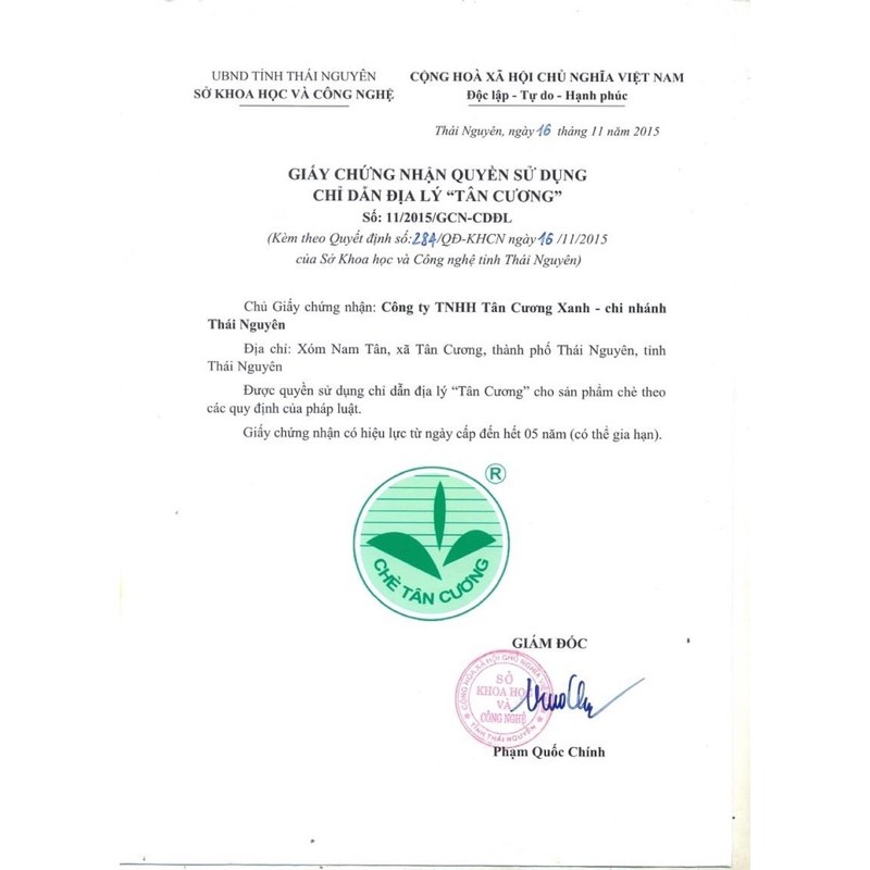 Trà Tân Cương Tước Thiệt Đặc Biệt 100gr / 200gr / 500gr TÂN CƯƠNG XANH | BigBuy360 - bigbuy360.vn