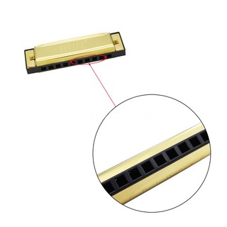 Kèn Harmonica 10 lỗ cho người mới bắt đầu