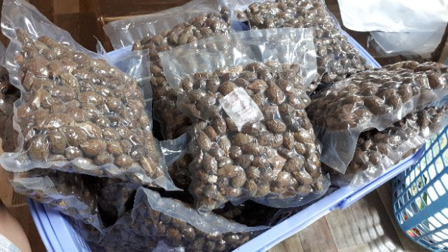 Hạt ươi (hột đười ươi) kon tum 1kg hút chân không | BigBuy360 - bigbuy360.vn