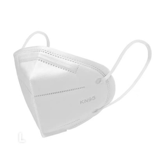 Khẩu trang N95