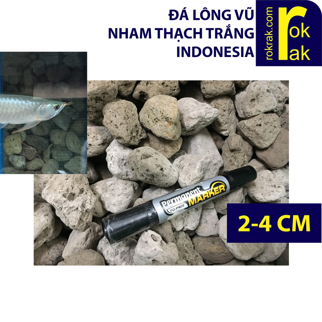 Đá lông vũ Indo Nham thạch trắng Indonesia 1kg siêu nhẹ