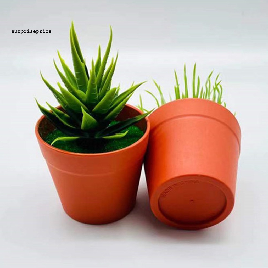 Chậu Cây Bonsai Giả Mini Bằng Nhựa Dùng Trang Trí Nhà Cửa/Văn Phòng