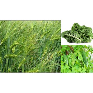 Bột mầm lúa mạch Aojiru rau quả lên men 72g(3g x 24 gói)