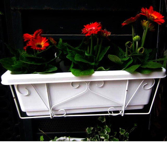 Combo chậu nhựa trồng rau/hoa ban công 2 đáy kèm khung sắt chữ nhật 48x19x16