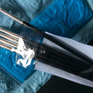 Cọ silicon bộ 5 cây (vẽ keo chặn màu)