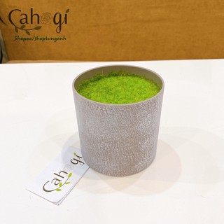 Chậu Nhựa Giả Xi Măng Nhồi Xốp Phủ Cỏ Dùng Trong Cắm Cây Hoa Nhận Tạo