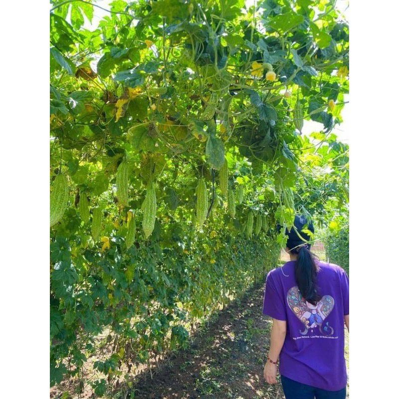 Xà Bông Nghệ - Mướp Đắng handmade Mộc Nhan Natural 100% nguyên liệu từ thiên nhiên | BigBuy360 - bigbuy360.vn