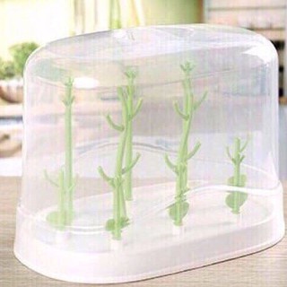 Khay Úp BÌnh Sữa Có Nắp Đậy