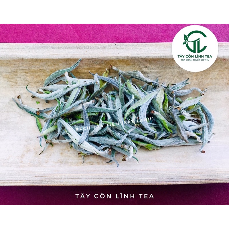 BẠCH TRÀ TIÊN 🍃 DÒNG TRÀ ĐẶC BIỆT QUÝ HIẾM TÂY CÔN LĨNH - HÀ GIANG