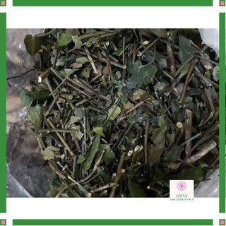 1 Kg Lá chè vằng sẻ khô cam kết nguyên chất