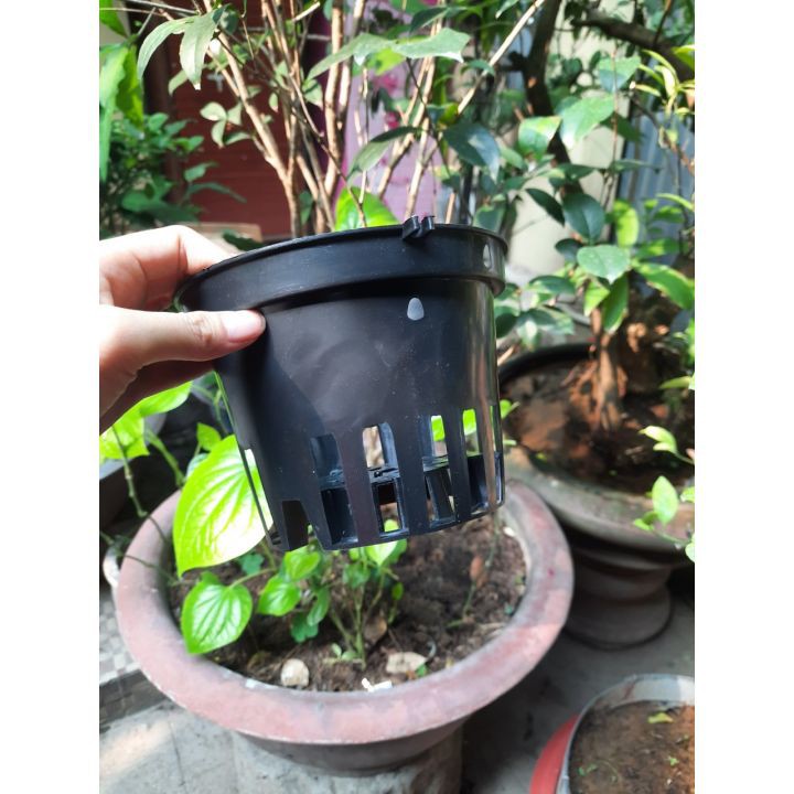 [Giá sỉ] Chậu nhựa đen trồng lan – phi 12 cm