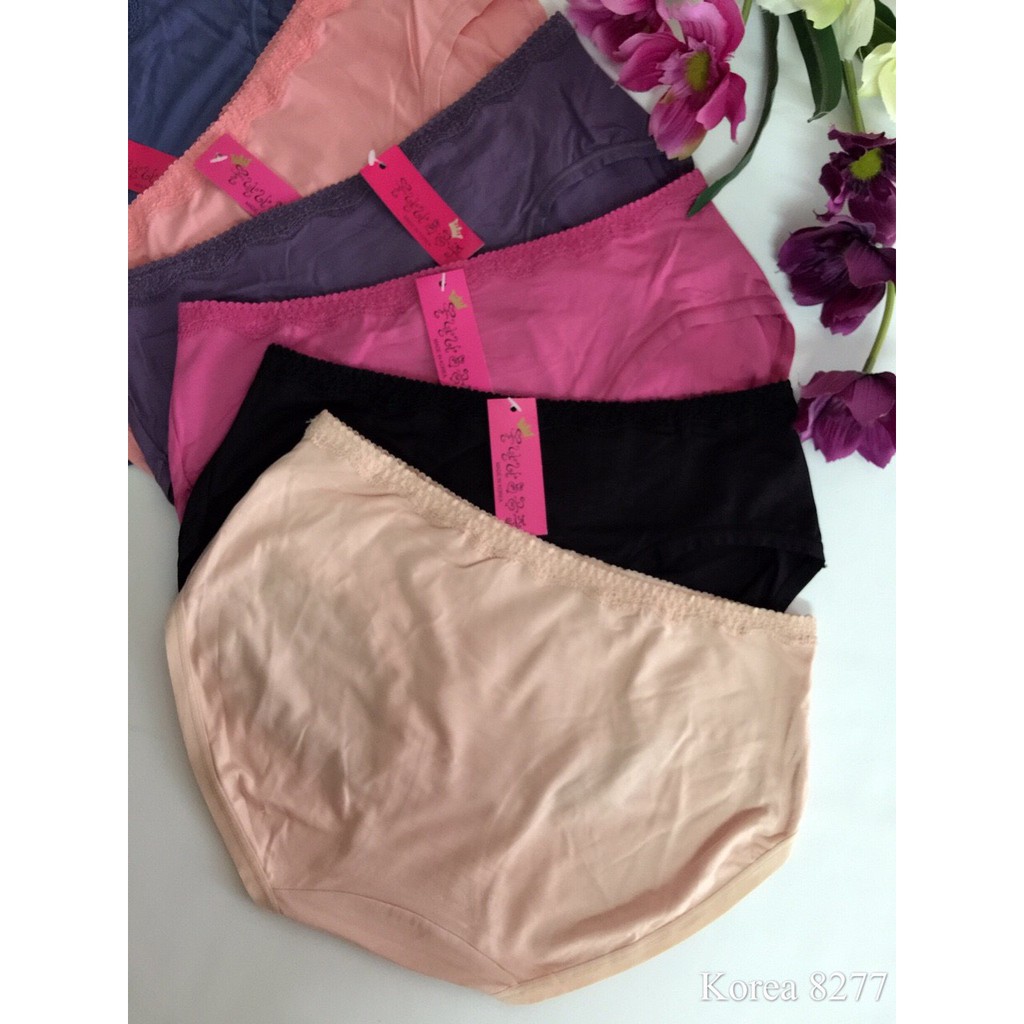 Quần cotton 8277 ( Combo 5 chiếc ) | BigBuy360 - bigbuy360.vn