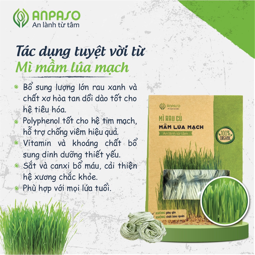 Mì Rau Organic Mầm Lúa Mạch Hữu Cơ  Anpaso, Eat clean Size 120Gr &amp; 300Gr