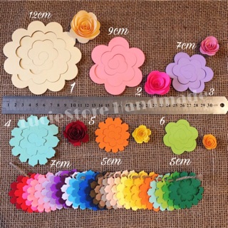Set 50 Bông Hồng Xoắn Nhiều Size !